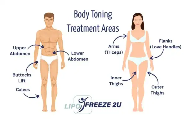 Graphic showing where you can have Body toning Treatment Minehead on your body